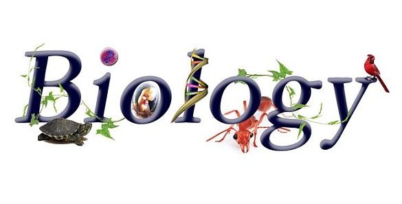 Biology for kids logo symbol colorful hand drawn Vector Image