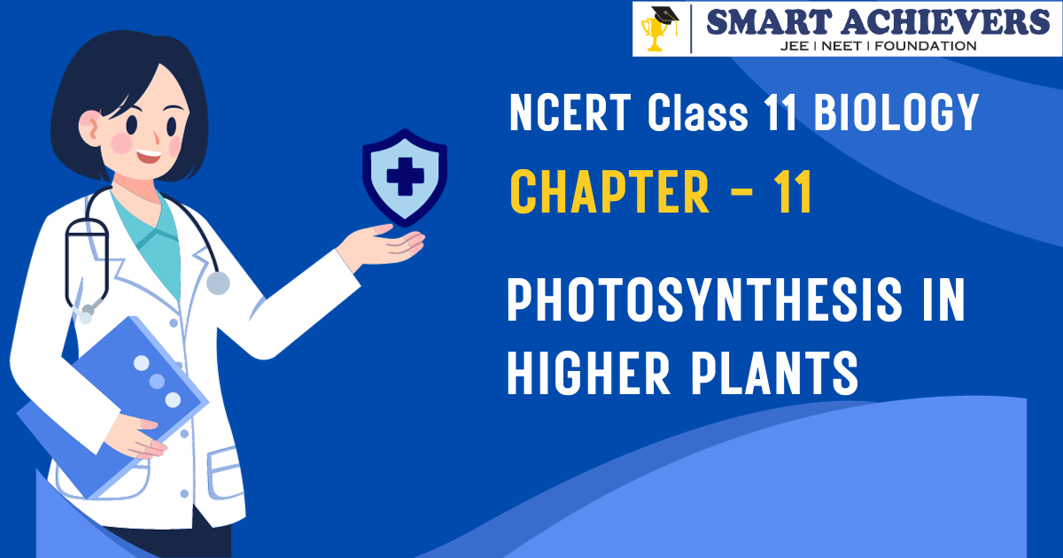 NCERT Books for Class 11 Biology Download Class 11 Biology NCERT